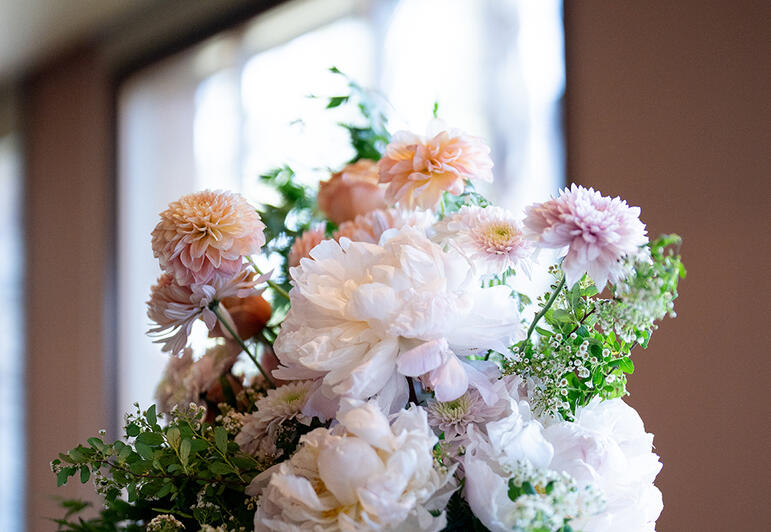 fluffy and natural / candid /pink, peach, white / Benjamin Kim (bikphoto)